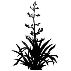 236x236 Drawn Shrub Flax