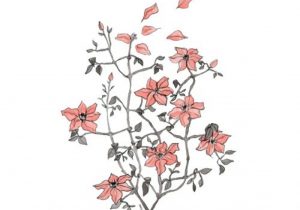 300x210 Tumblr Sketch Flower Flower Drawing Tumblr Flower Drawing Tumblr
