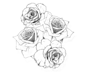 300x250 58 Images About Piccollage On We Heart It See More About