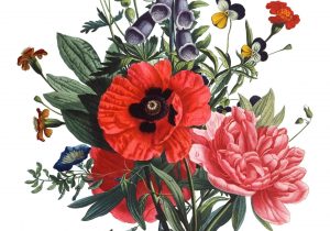 300x210 Tumblr Drawings Flower Eleletsitz Transparent Flower Drawing