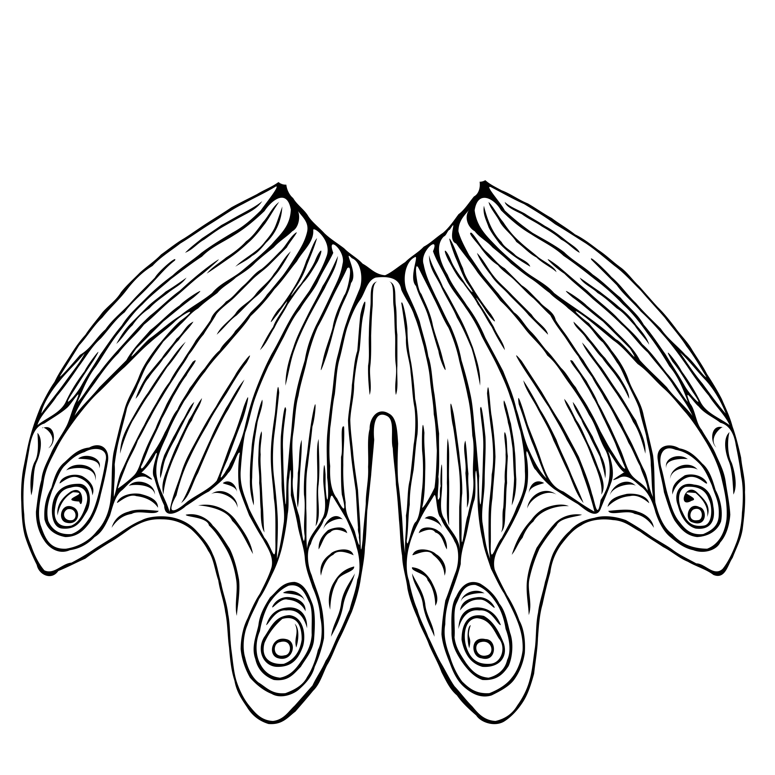 2580x2580 Ganymede Fluke Mermaid Amatheia