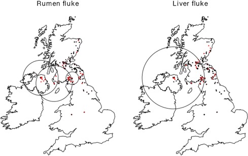 489x309 Observations On The Biology, Epidemiology And Economic Relevance