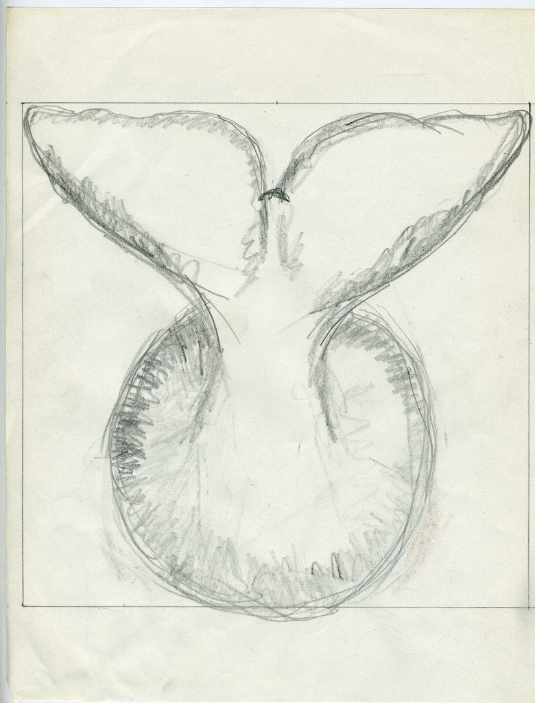 780x1024 Mrwaterslide's Whale Fluke Drawing