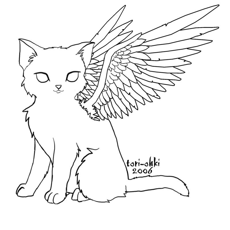 800x800 How To Flying Cat Coloring Sheet For To Color, Angel Cat By Tori