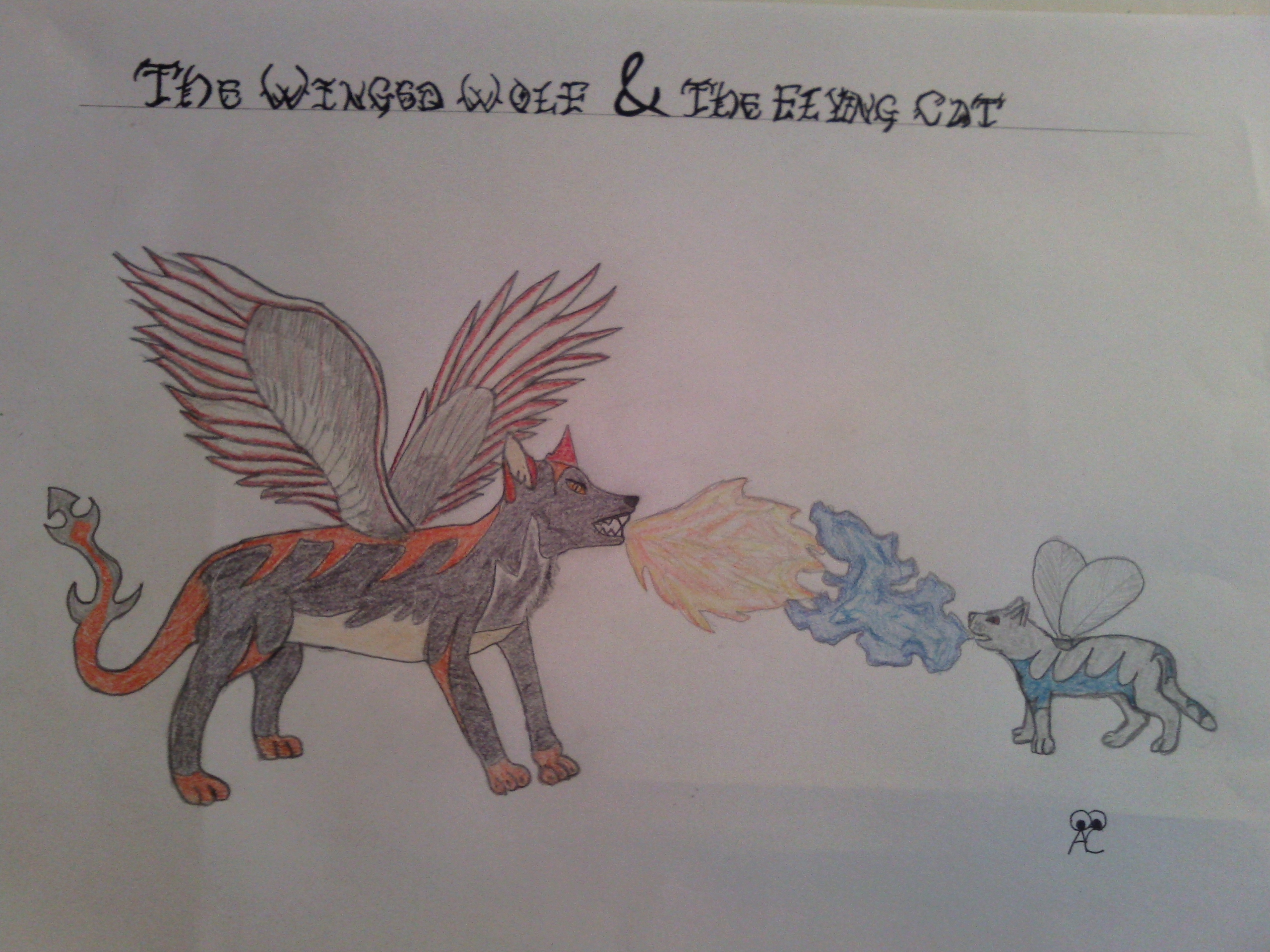 2560x1920 Winged Wolf And Flying Cat By Wolf7girl