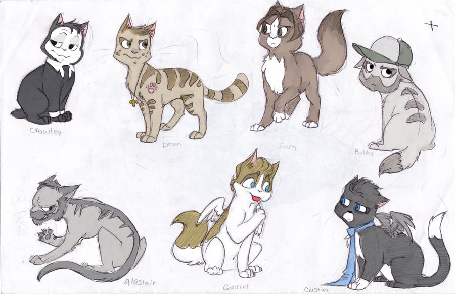 900x587 Supernatural Cats By Flying Shark