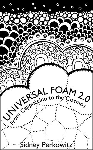313x500 Universal Foam Sidney Perkowitz