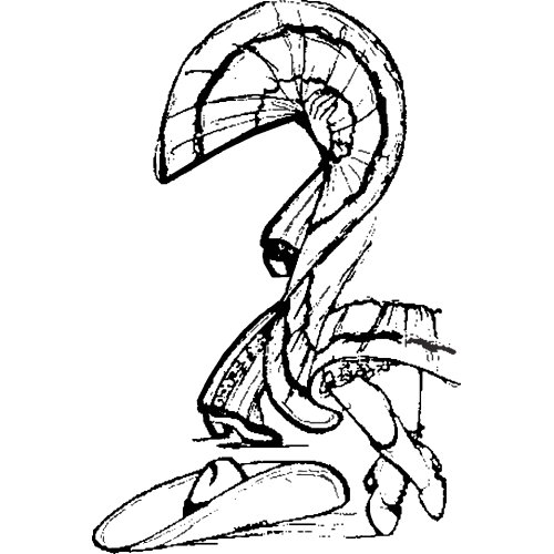 500x500 Los De San Tour Dates And Concert Tickets Eventful