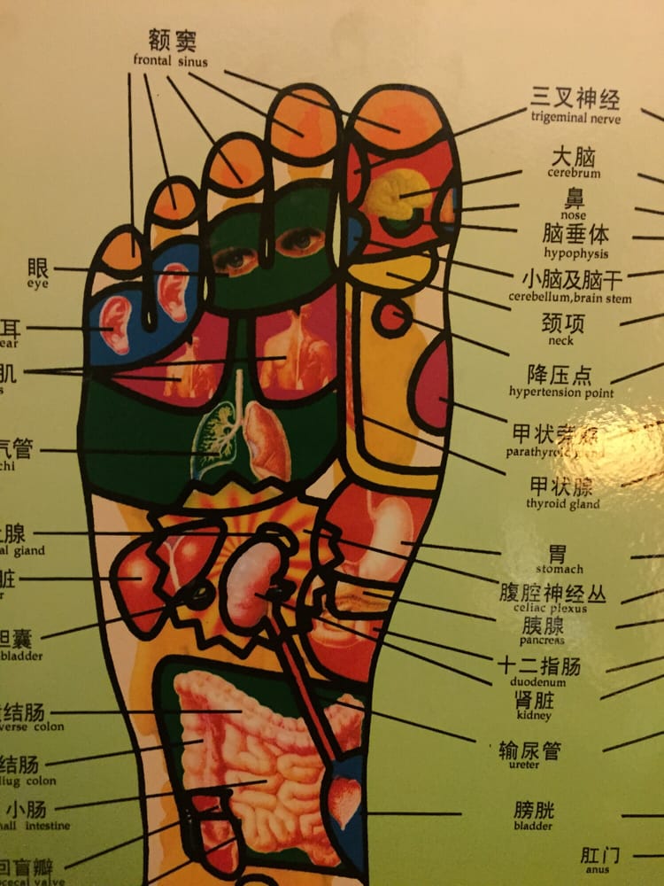 750x1000 Foot Echo Schematic Drawing Looks Interesting.