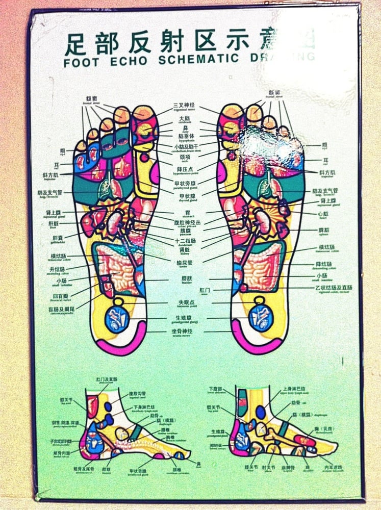 747x1000 Poster Of Chinese Foot Echo Schematic Drawing