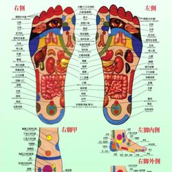 250x250 St Peters Massage Amp Salon