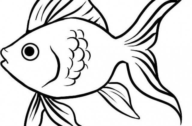 640x420 Collection Of Goldfish Drawing Easy High Quality, Free