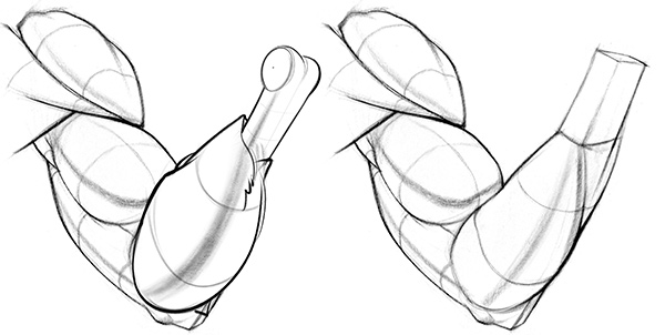 600x302 How To Draw Forearms Arm Anatomy For Artists Proko