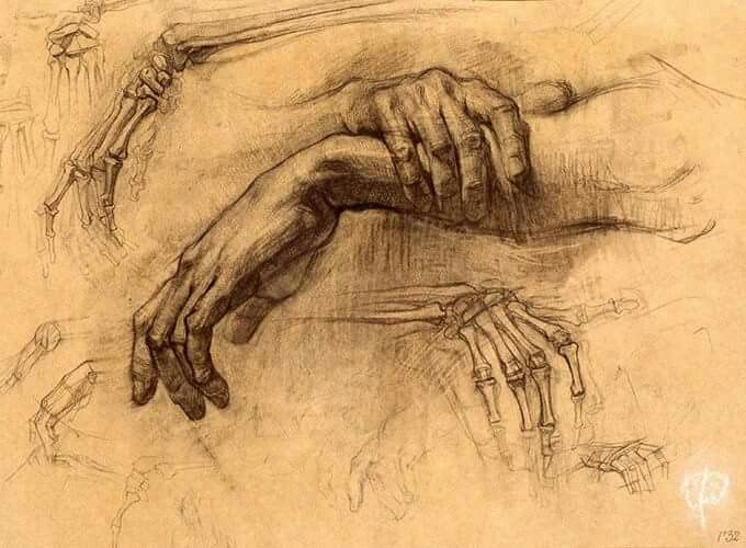680x500 Hand, Forearm. Anatomy Anatomy