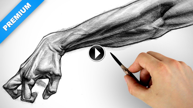 630x355 Shading Forearm Details Proko