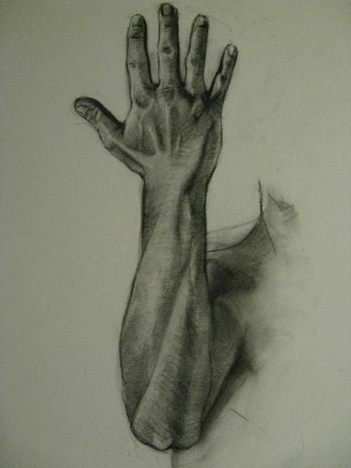 500x667 Forearm Transcient Cafe