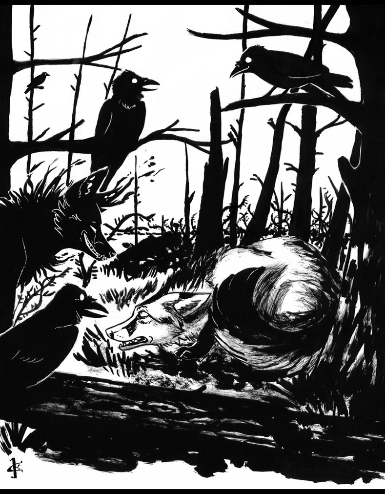 789x1012 Black Forest