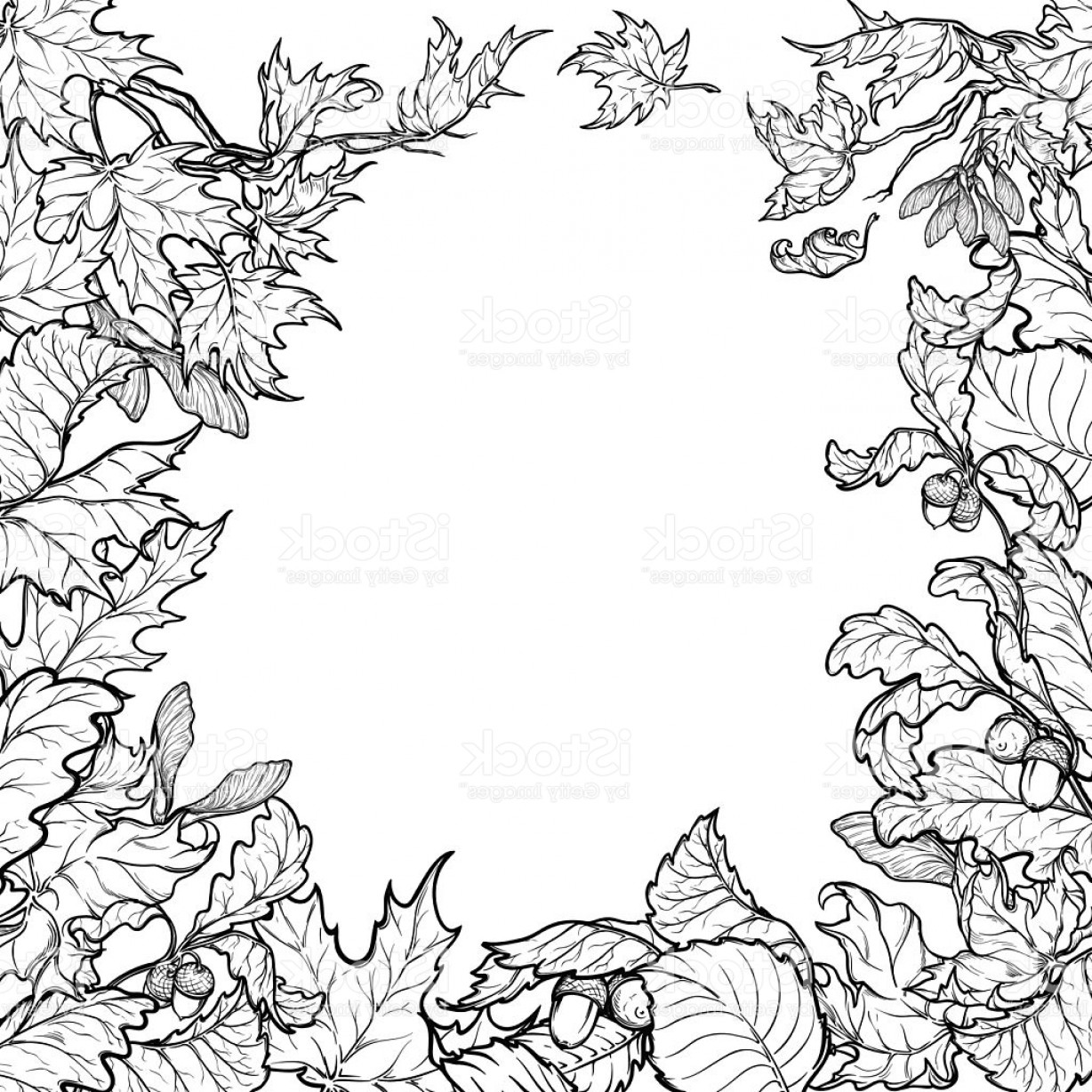 1228x1228 Vector Black And White Forest Geekchicpro
