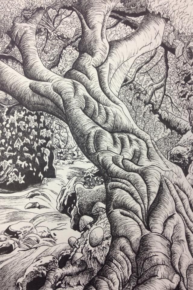 640x960 Paths And Encounters Small Ink Drawing Of A Forest Scene