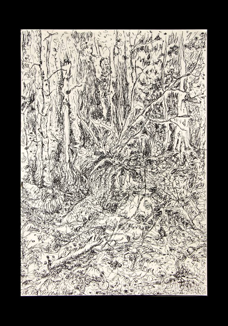 770x1097 Saatchi Art Deep Forest Drawing By Ruxanda Vitiuc