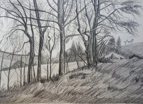 500x365 Shop Charcoal, Sketch, Drawing Paintings Online