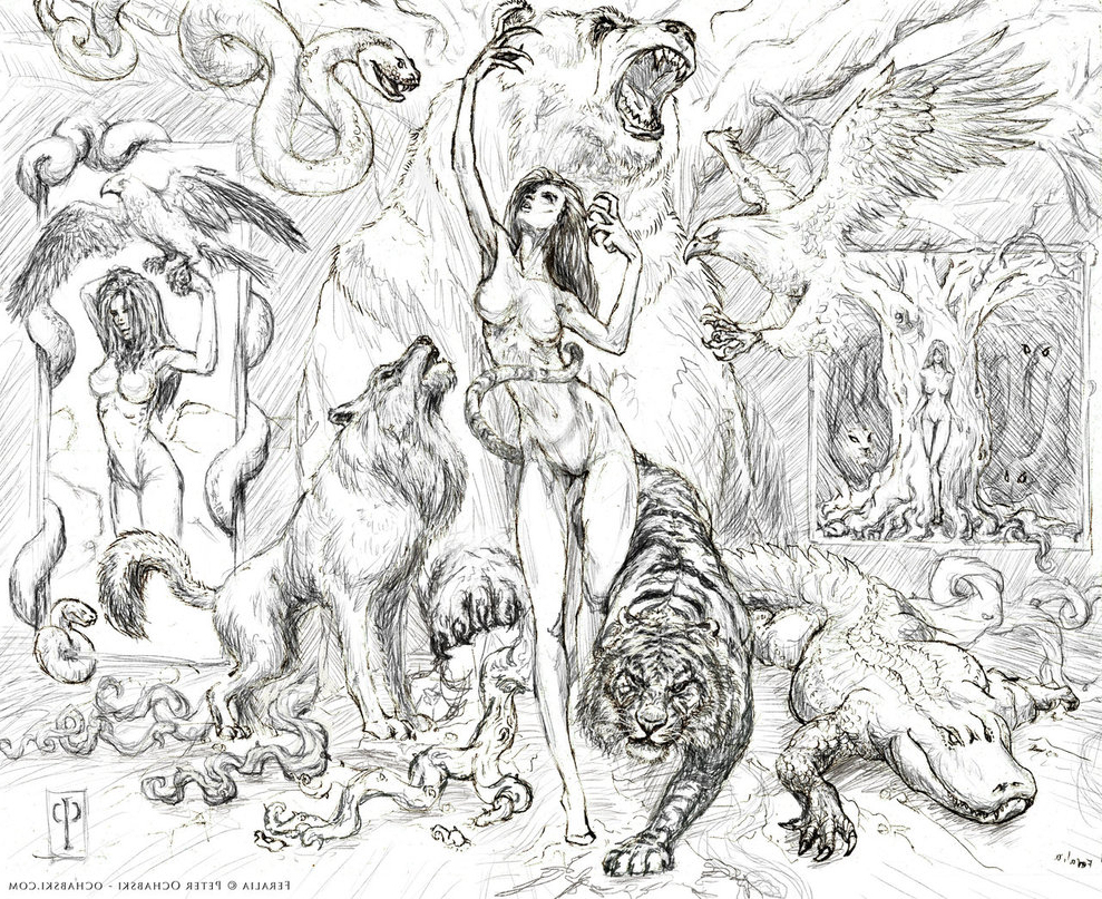 989x807 Drawings Of Forest Animals Feralia Summons Animals In The Forest