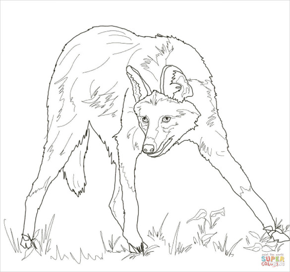 585x549 Wolf Drawing Free Printable Pdf, Jpeg Format Download