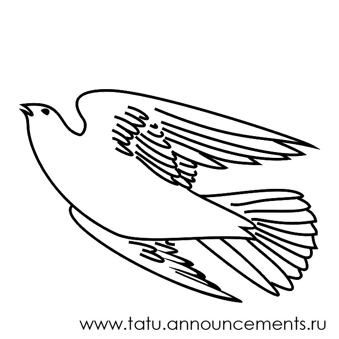 700x700 Dove Bird Sketches Archives