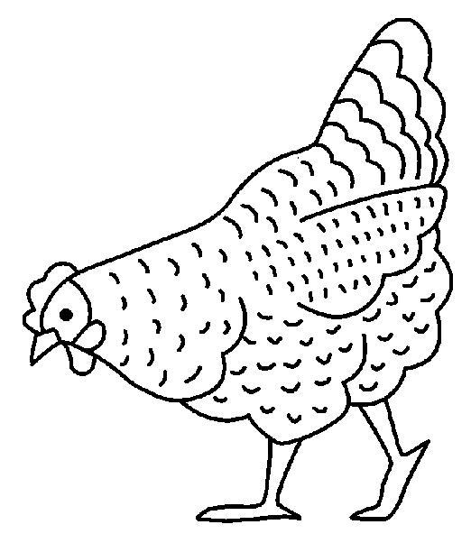 522x602 Chickens Coloring Page 2