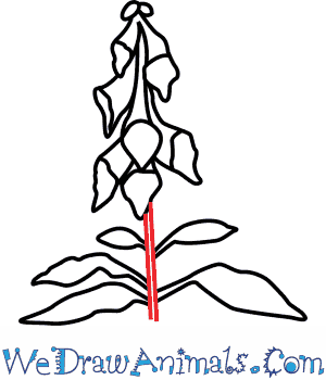 300x350 How To Draw A Foxglove Flower