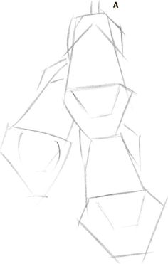 236x371 About Foxglove Sonoma Foxglove Fancy