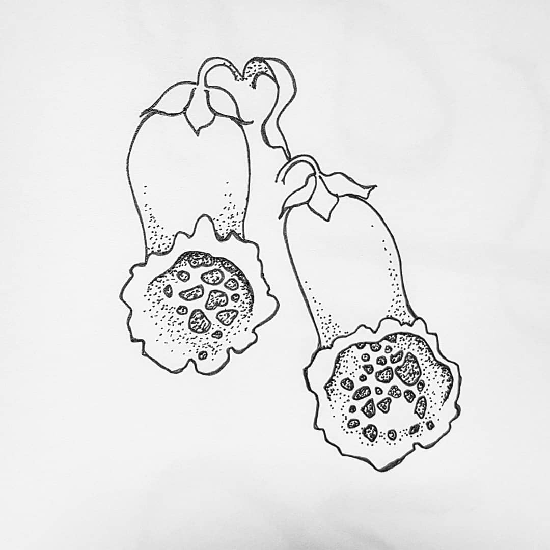 1080x1080 V A R S H T A T @varshtat Instagram Profile Picbear