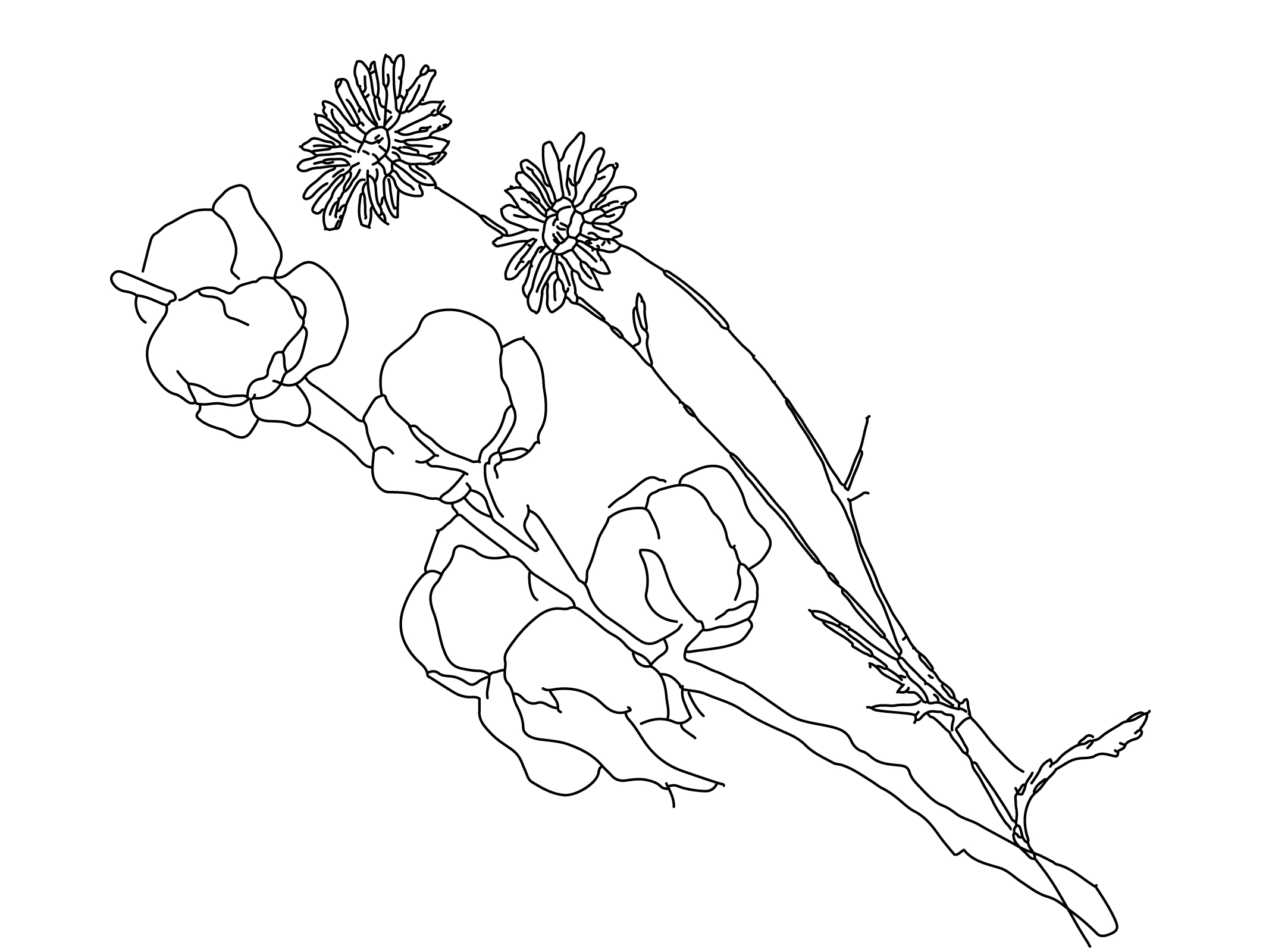 2133x1600 Shop By Fragrance