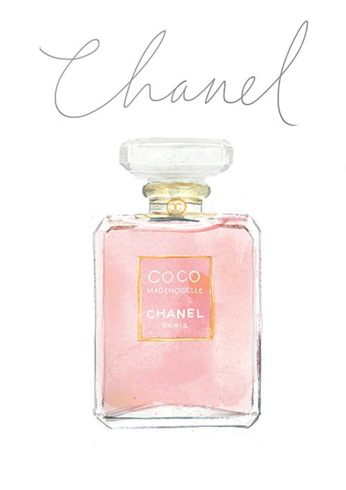 500x707 Drawing Paris Watercolor Colour France Color Chanel Perfume Coco