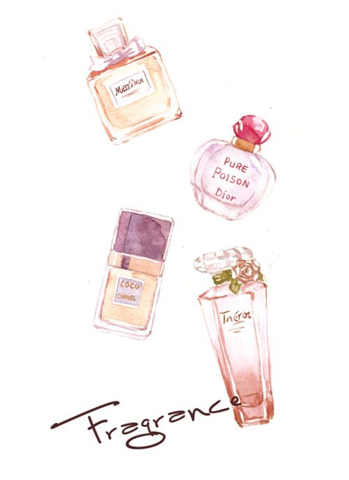500x688 Fragrance My Drawing Perfume, Illustrators