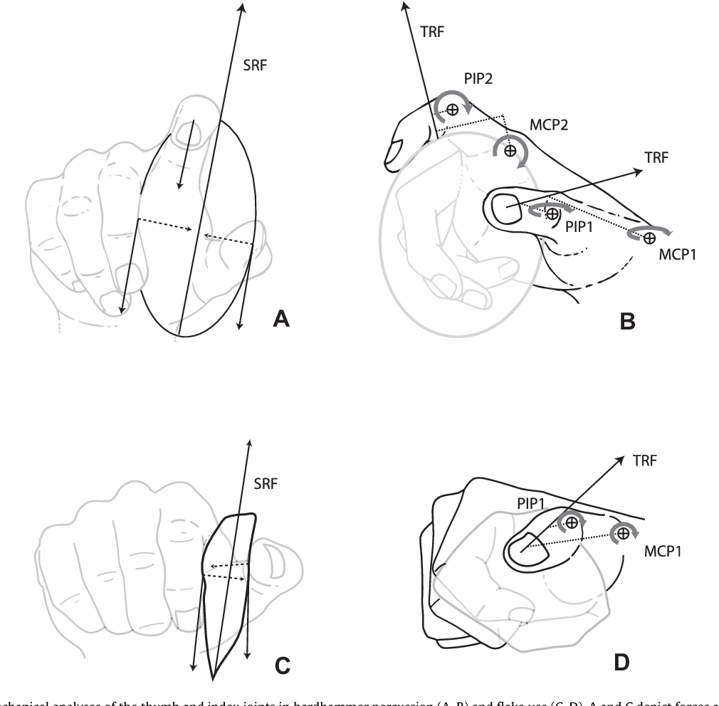1010x992 Figure 3 From Hand Biomechanics During Simulated Stone Tool Use