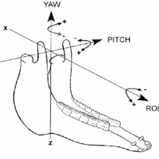 320x320 Pdf) Kinematics Of The Equine
