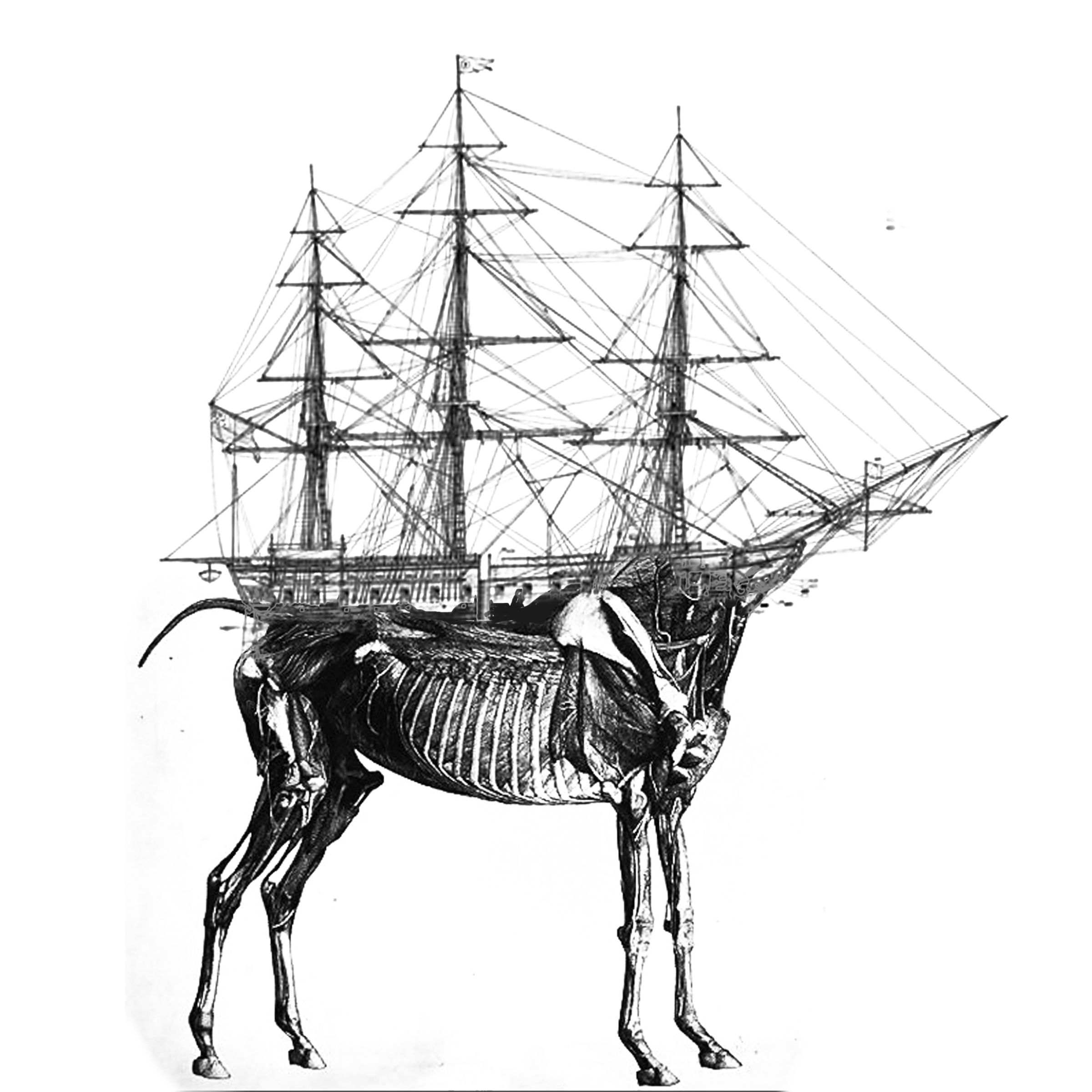 2400x2400 An Unnatural History Call For Works Nanotopia