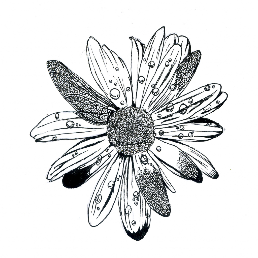 1024x1024 Unique Flower Drawings Flower Drawing In Fringe Ideas About