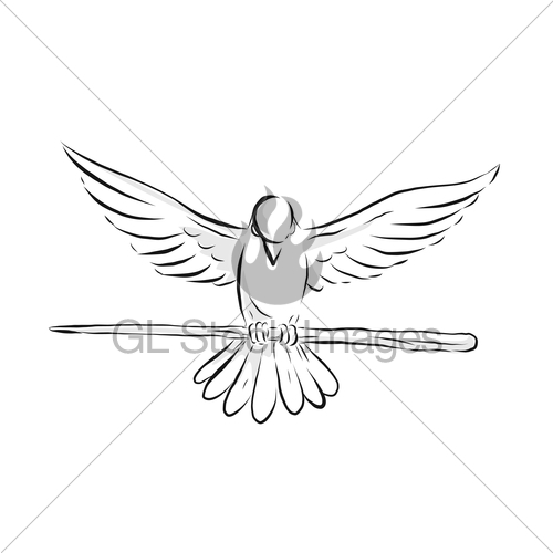 500x500 Soaring Dove Clutching Staff Front Drawing Gl Stock Images