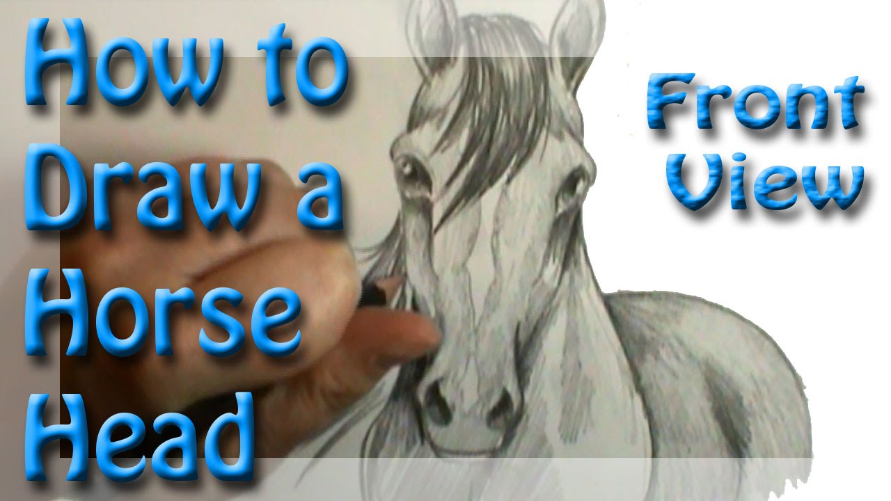 1280x720 How To Draw A Horse Head Front View