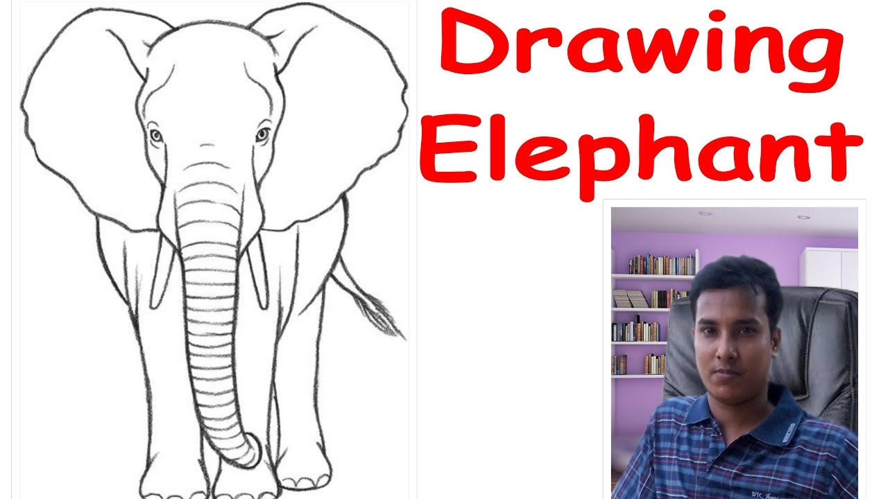1280x720 How To Draw An Elephant Front