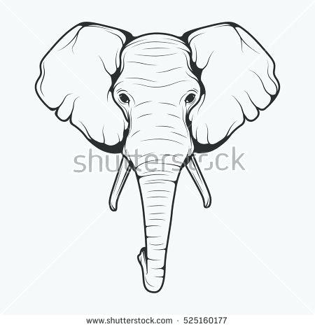 Front Facing Elephant Drawing at GetDrawings | Free download