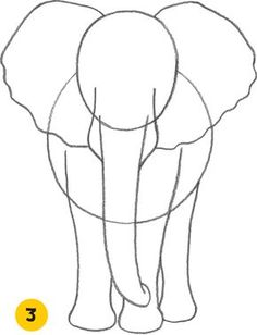 236x308 How To Draw A Realistic Elephant, Draw Real Elephant, Step By Step