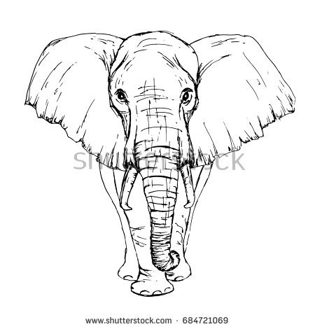 450x470 Collection Of Elephant Front Face Drawing High Quality, Free