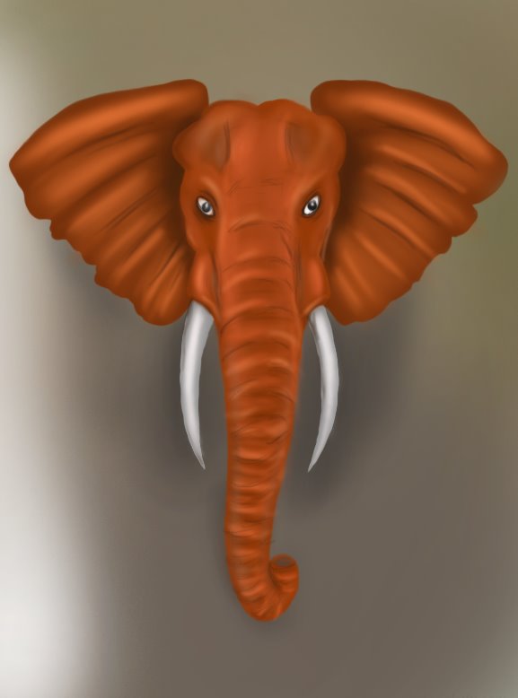 577x778 Learn How To Draw An Elephant Head (Zoo Animals) Step By Step
