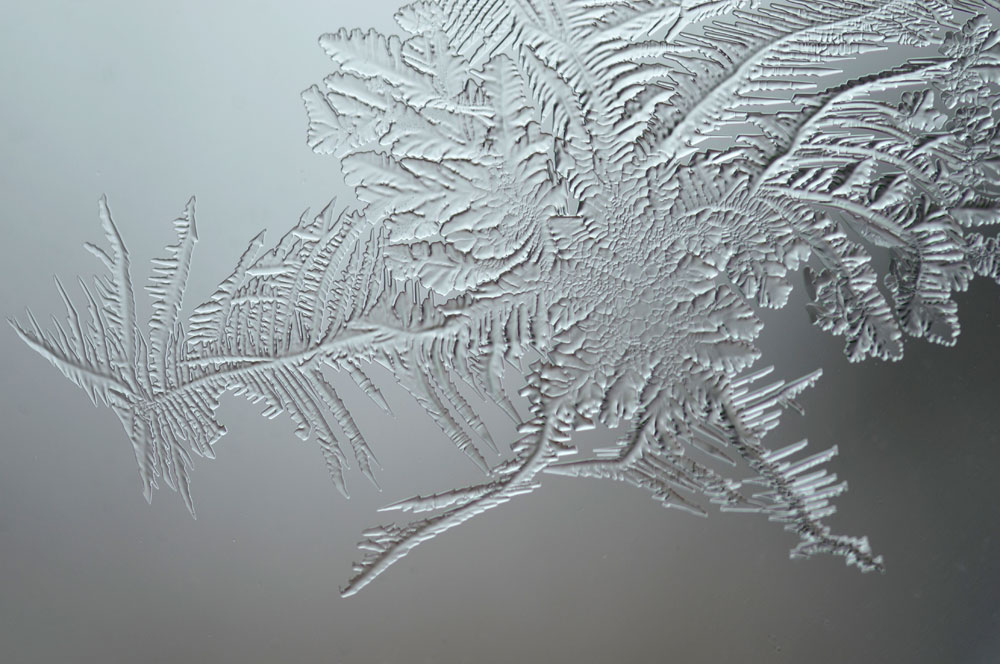 1000x664 Frost Growth Draw And Shoot