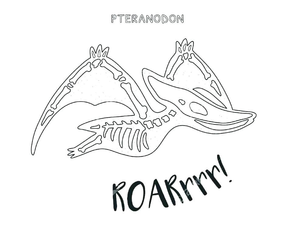 970x761 Fossil Coloring Pages Dinosaur Fossil Coloring Pages Coloring Page