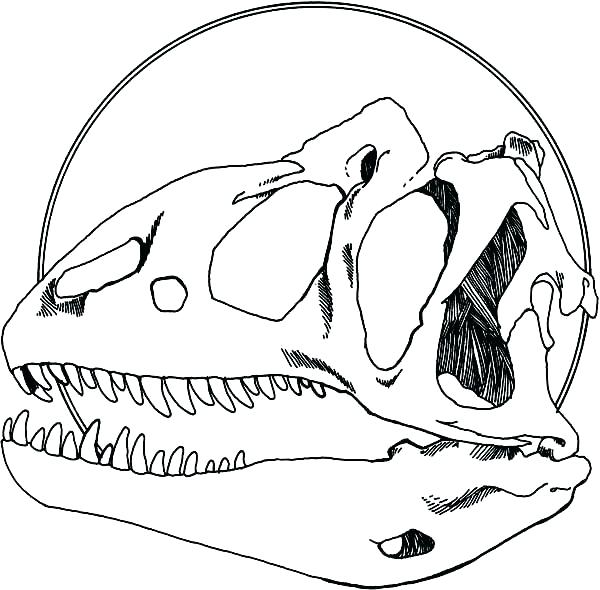 600x590 Fossils Coloring Pages Fossil Fuel Coloring Pages