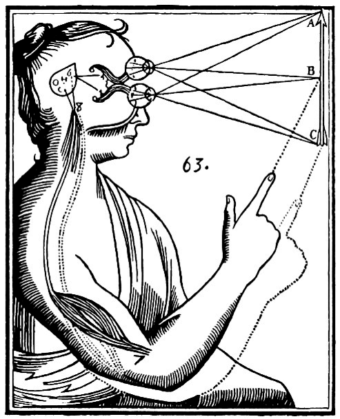 493x608 Drawing From Descartes' (1596 In Treatise Of Man